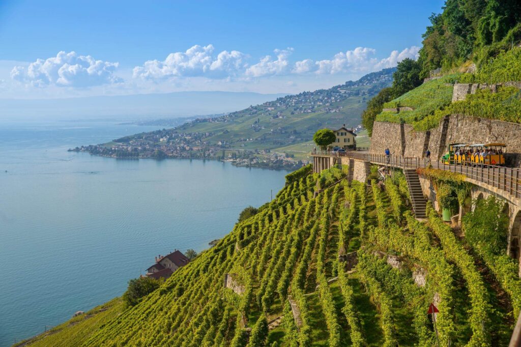 vigneti lavaux Switzerland and its natural beauties