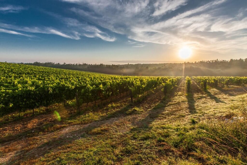 toscana campagna I posti da non lasciarsi sfuggire in Toscana